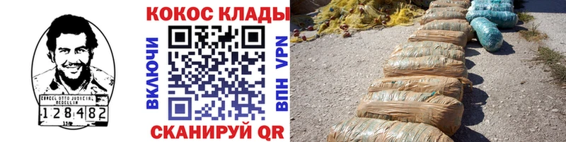 Купить закладки  Нижние Серги  COCAIN 99% 