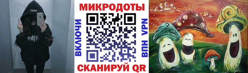 Купить где  Нижние Серги  Галлюциногенные грибы Psilocybine cubensis 